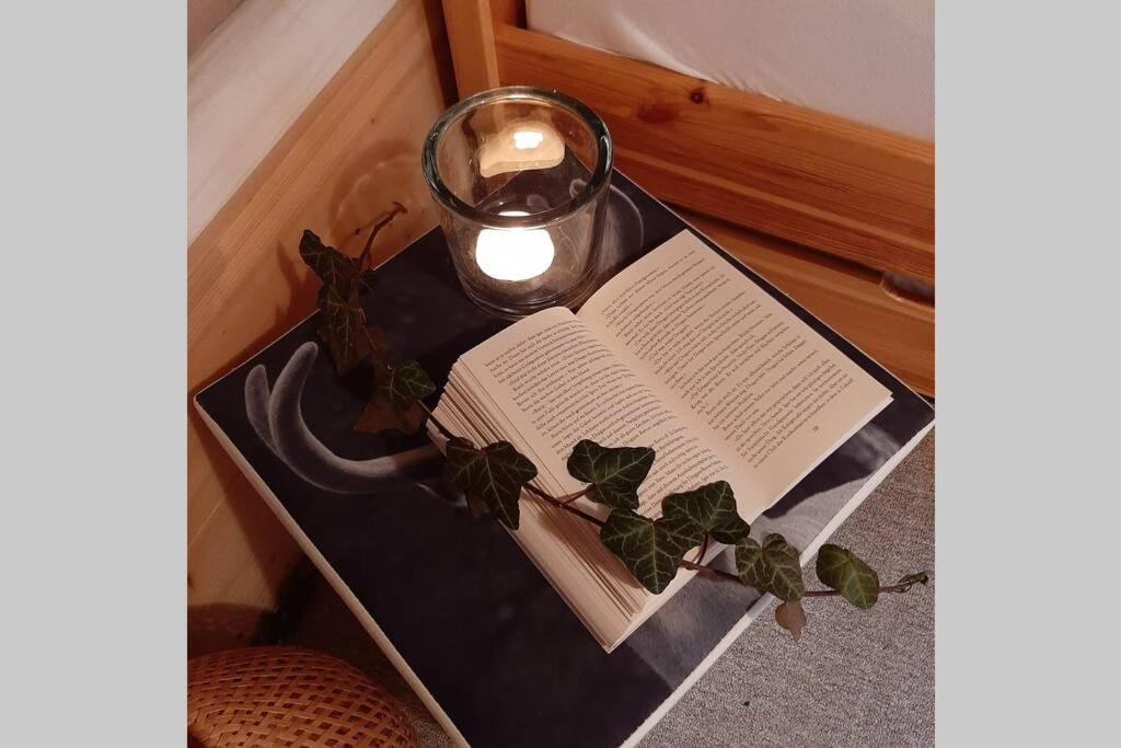 Appartamento Haus Fritz - Erholung In Den Bergen Donnersbachwald Esterno foto