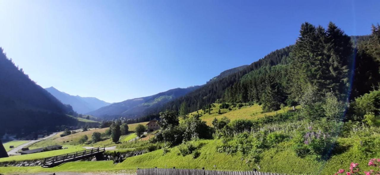 Appartamento Haus Fritz - Erholung In Den Bergen Donnersbachwald Esterno foto